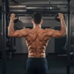 Calisthenics Back Workouts